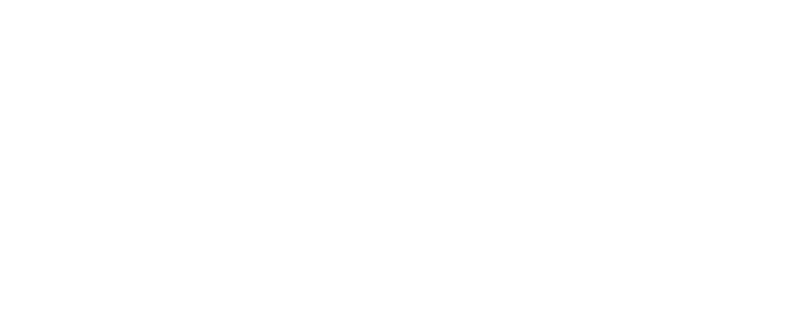 DHNI